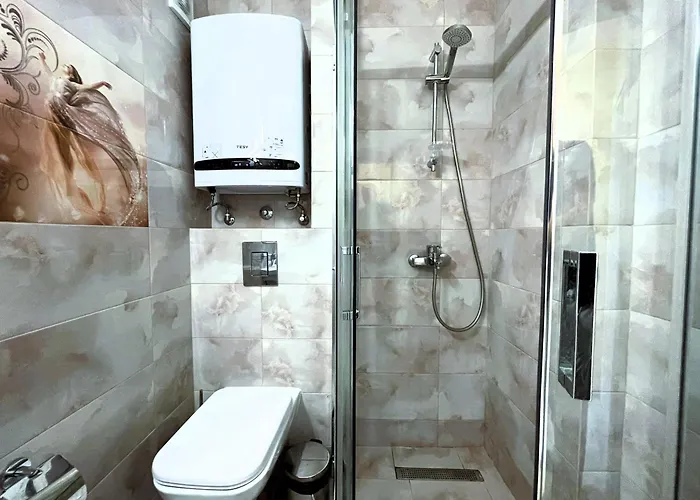 Panorama Sea Lux * 普里莫尔斯科